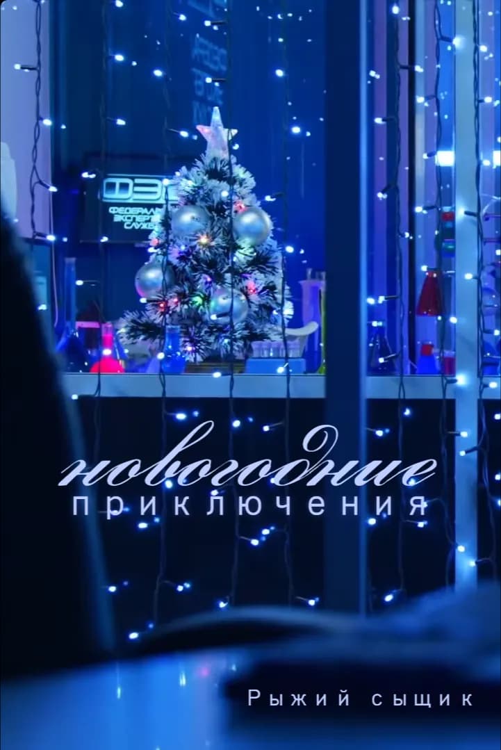 Новогодние приключения