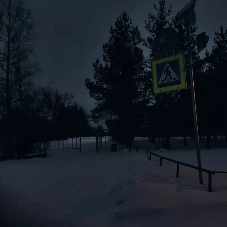 зимняя ночь