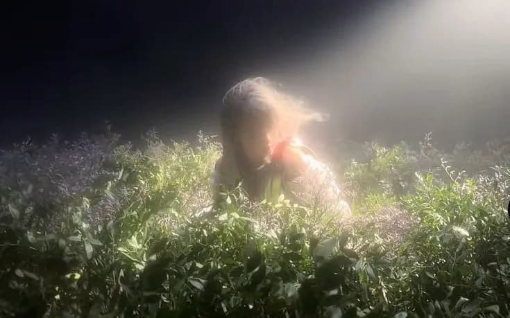 Летняя прогулка по лесу