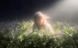 Обложка фанфика Летняя прогулка по лесу