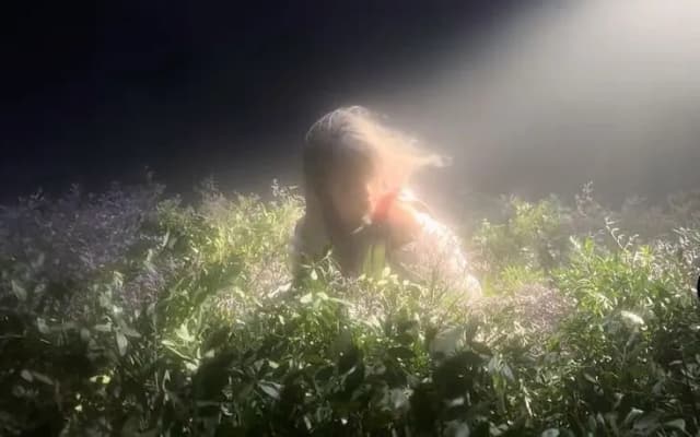 Обложка фанфика Летняя прогулка по лесу