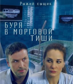 Обложка фанфика Буря в морговой тиши