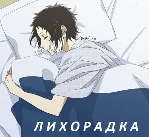 Лихорадка