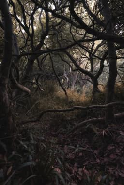 Обложка фанфика Stranger Things